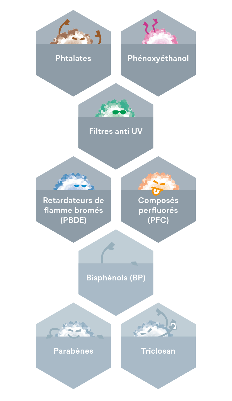 Perturbateur endocrinien familles